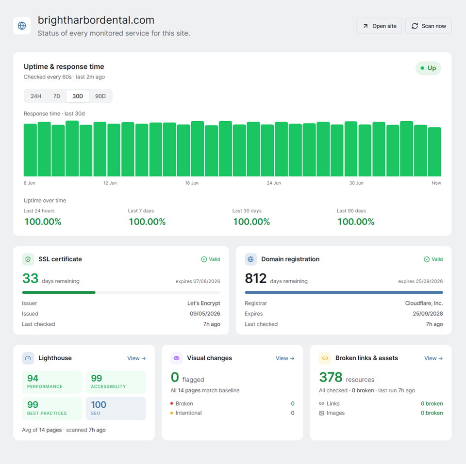 One site's overview in SiteLetter: uptime, Lighthouse scores, visual checks, SSL and domain status together